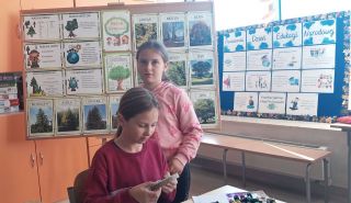 311009716_440367418239326_9109047115713728516_n